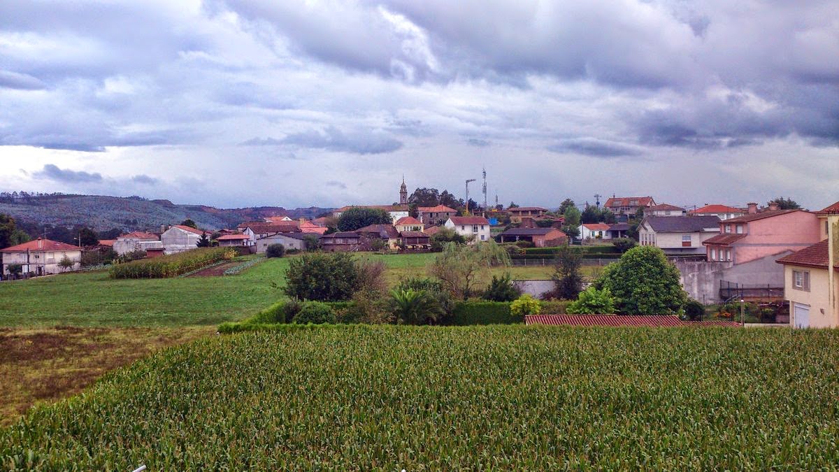 Pensión pedrouzo photo 5