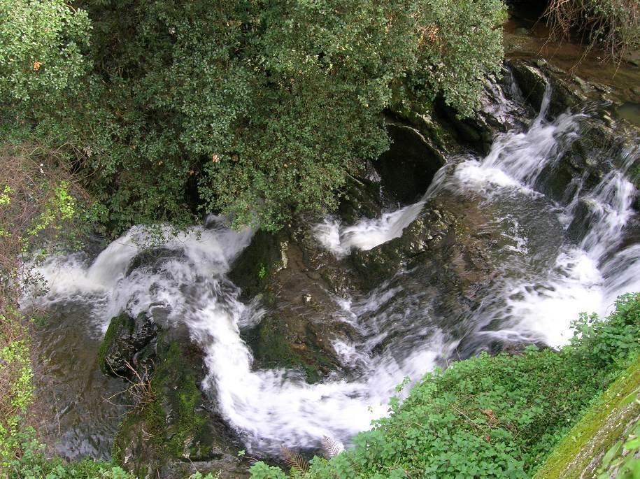 Apartamentos Playa La Franca photo 10