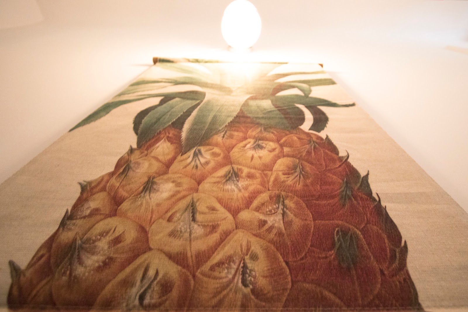 SURFING ETXEA Surf Hostel San Sebastián photo 8