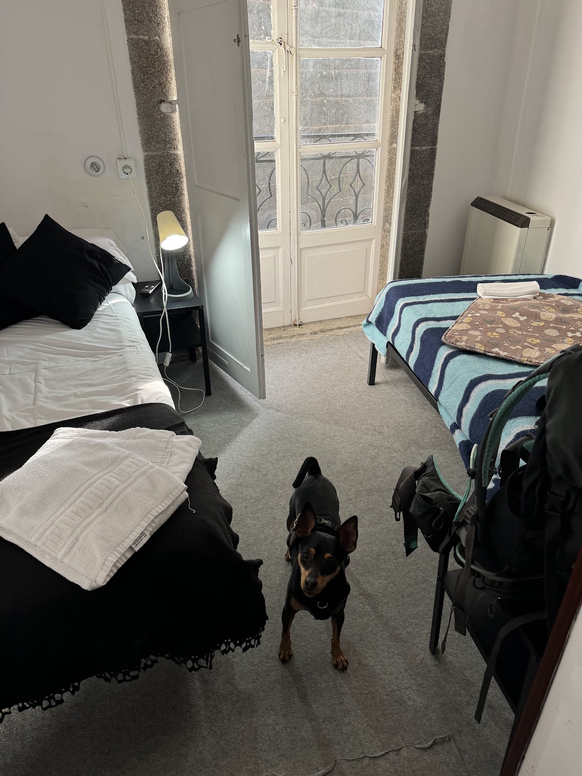 Hostal San Pelayo photo 9