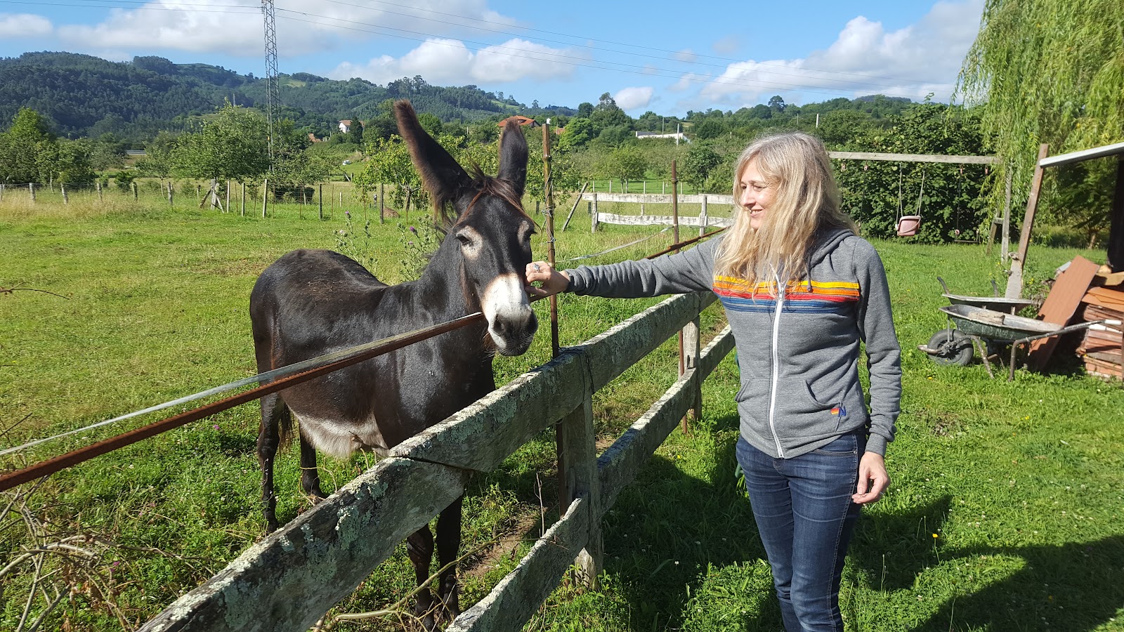 Hotel El Sueve photo 8