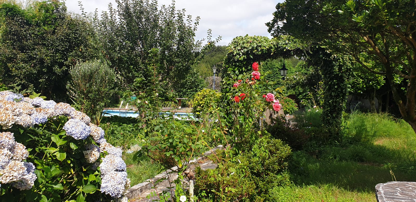 Hotel San Marcus photo 8