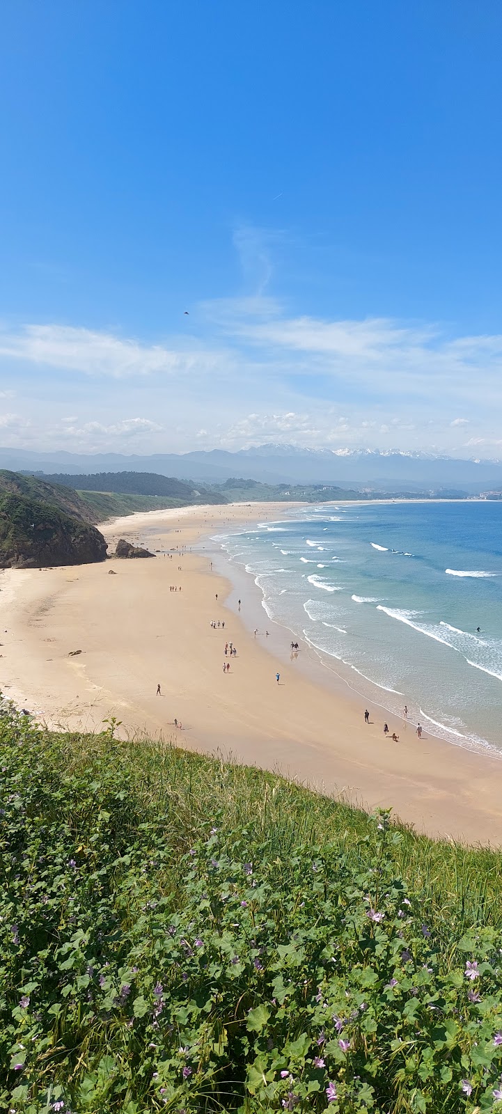 Las Tres Mimosas photo 3