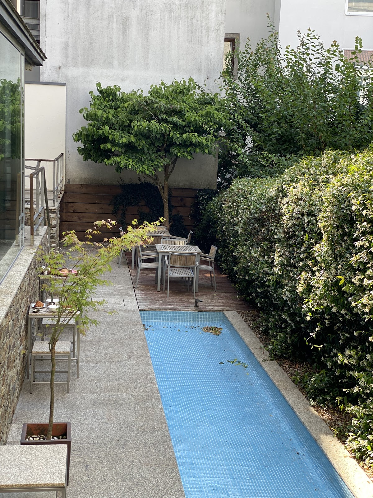 Hotel Santa Clara photo 3