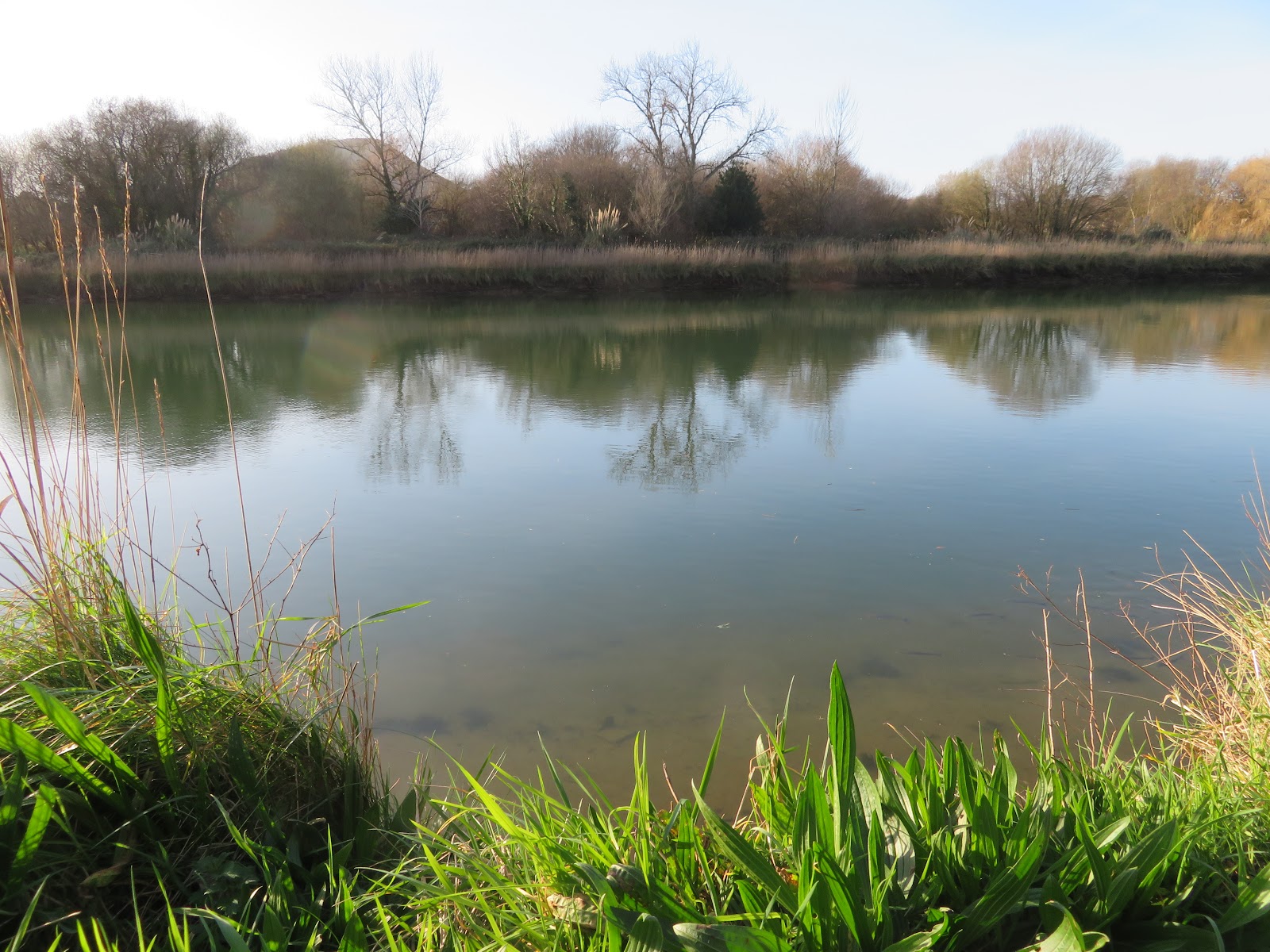 Apartamentos Dunas de Liencres photo 10