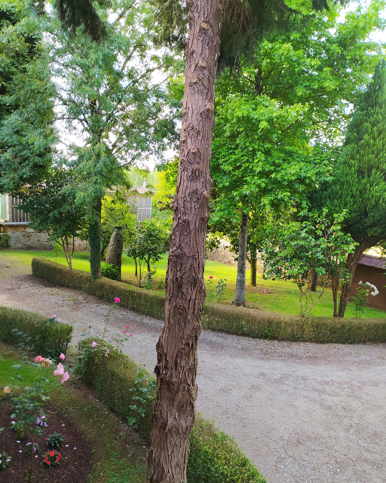 Pazo Xan Xordo photo 9