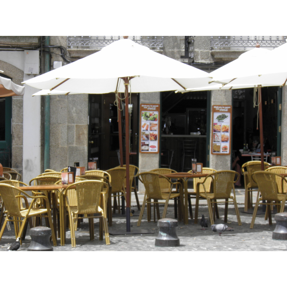 Pensión Vía-Stella photo 10