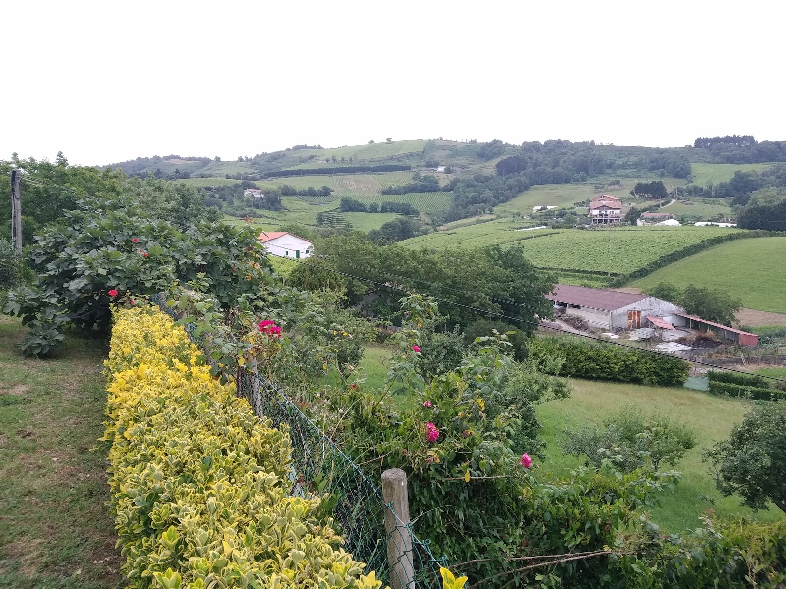 Gaintza Landa-hotela photo 4