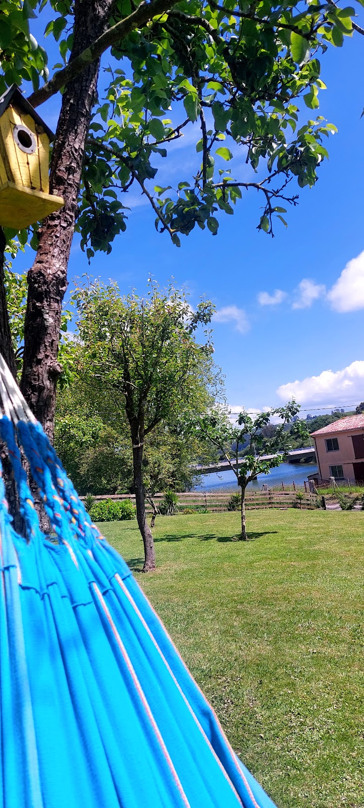 Las Tres Mimosas photo 9