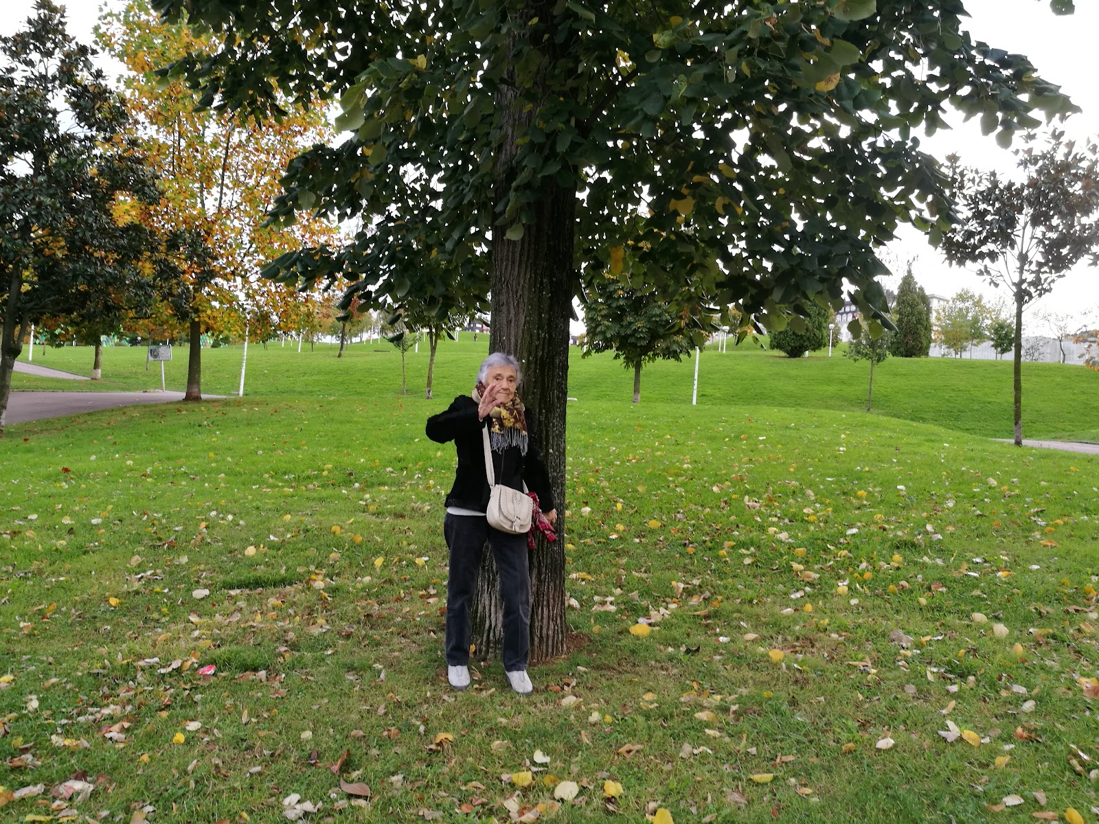 Residencia para mayores y Centro de día IMQ Igurco Bilbozar photo 8