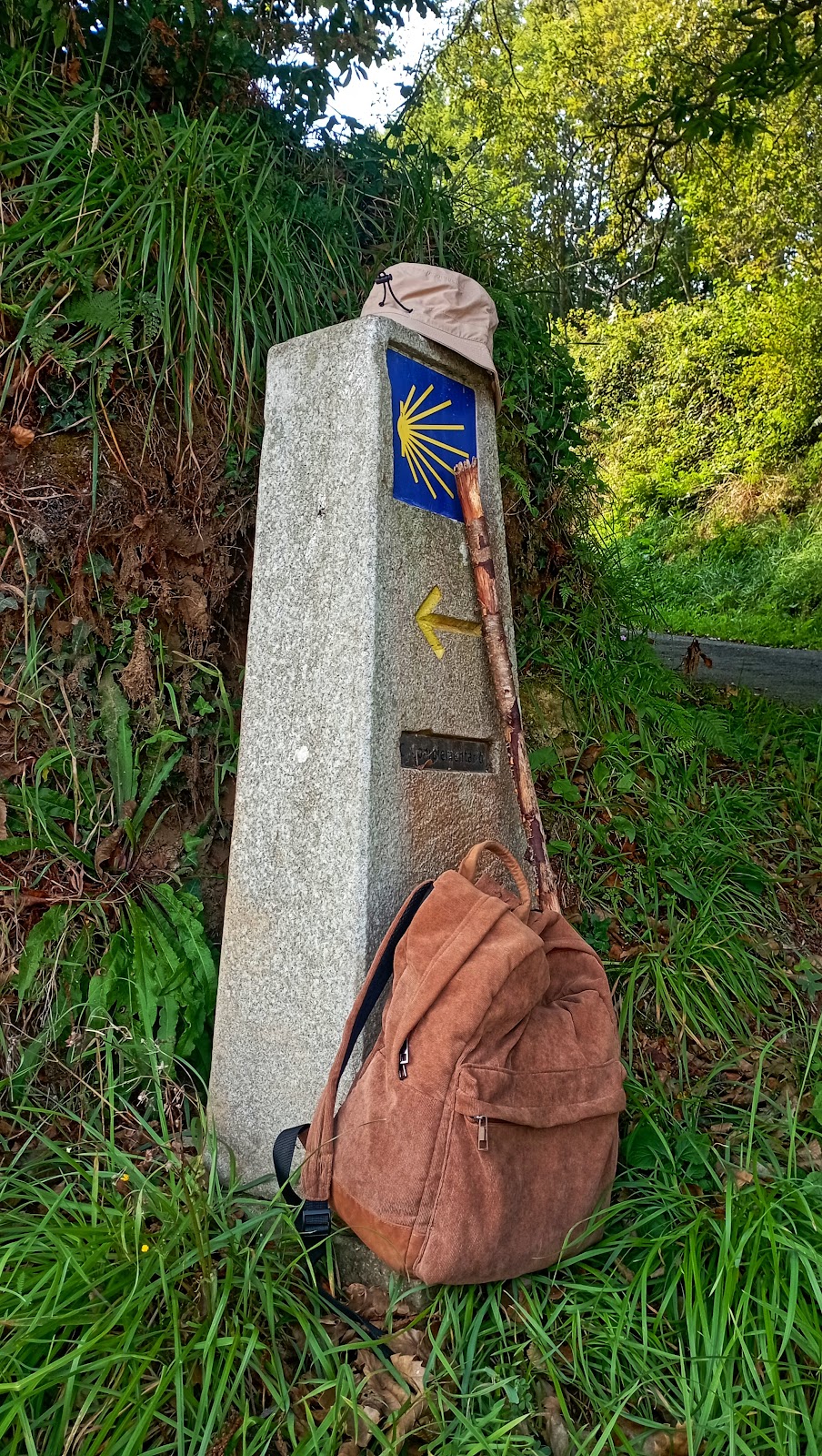 Casa Minerva photo 10