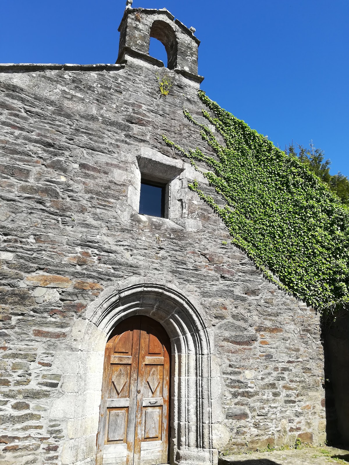 Pensión Domus Gallery photo 10