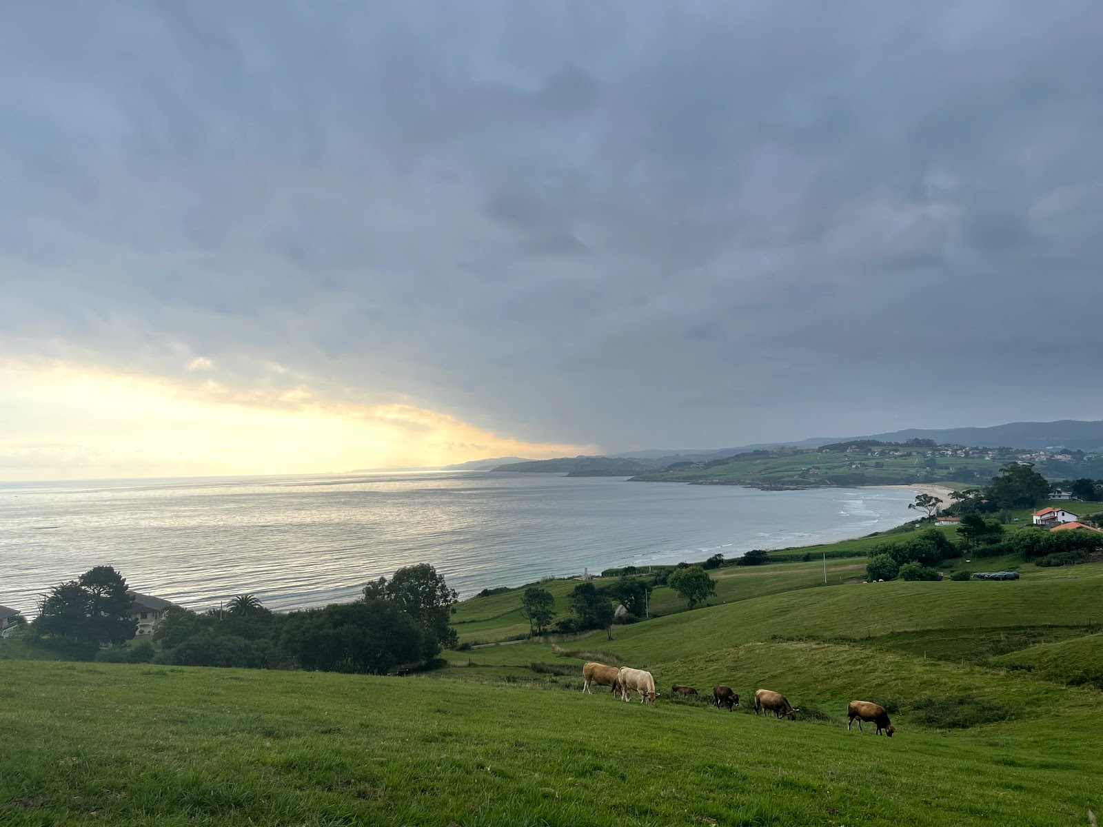 La Casa de las Flores Comillas photo 5