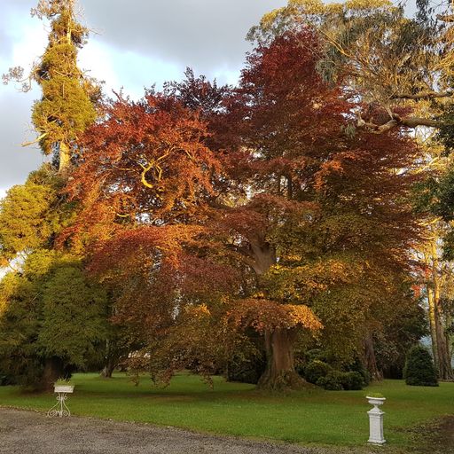 Hotel Boutique Villa del Marqués photo 9