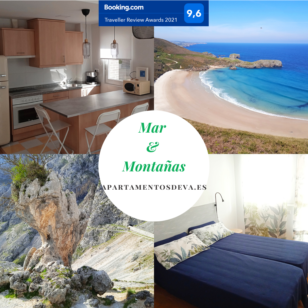 Apartamentos Deva photo 8