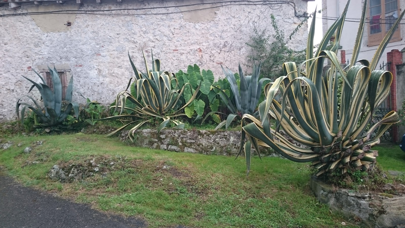 La Milarina, Casa Rural photo 8