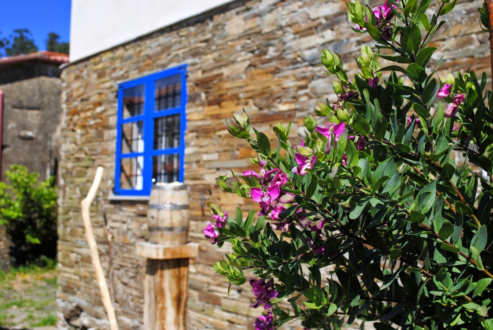 Albergue Rural Astrar photo 5