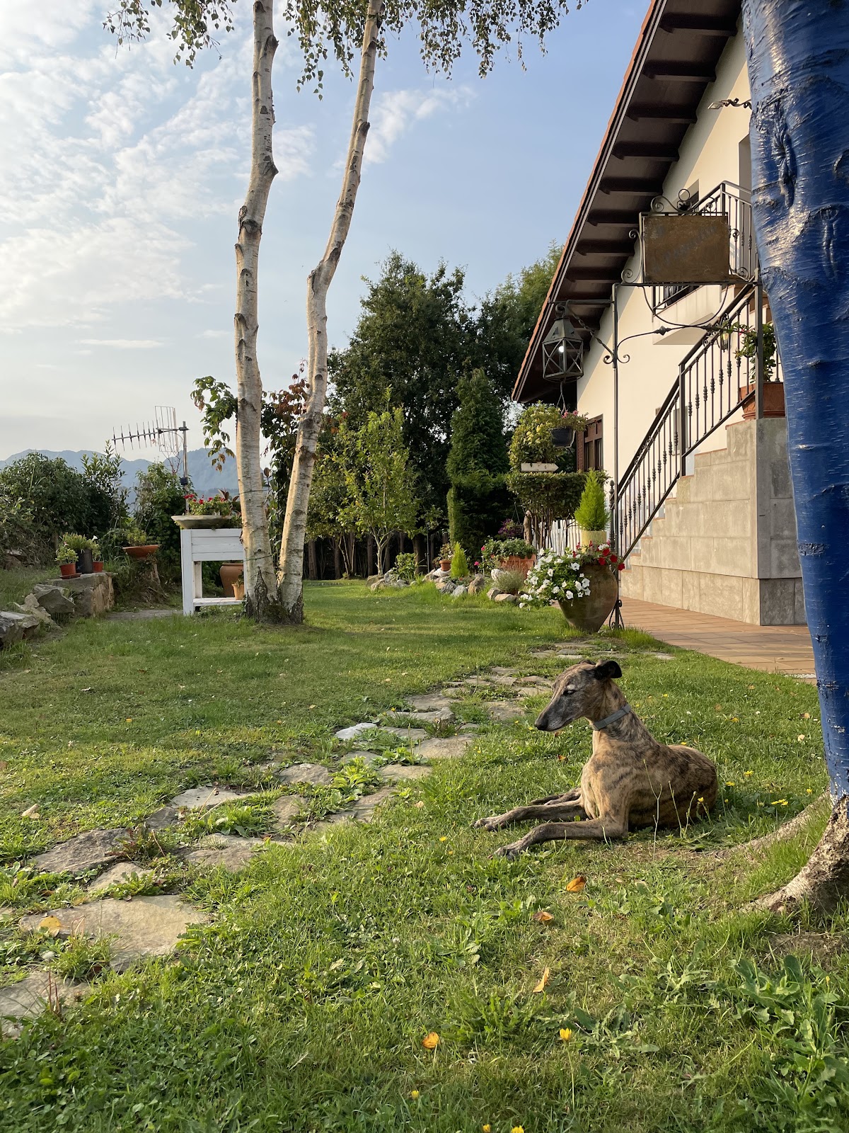 Hotel El Pagadin photo 5