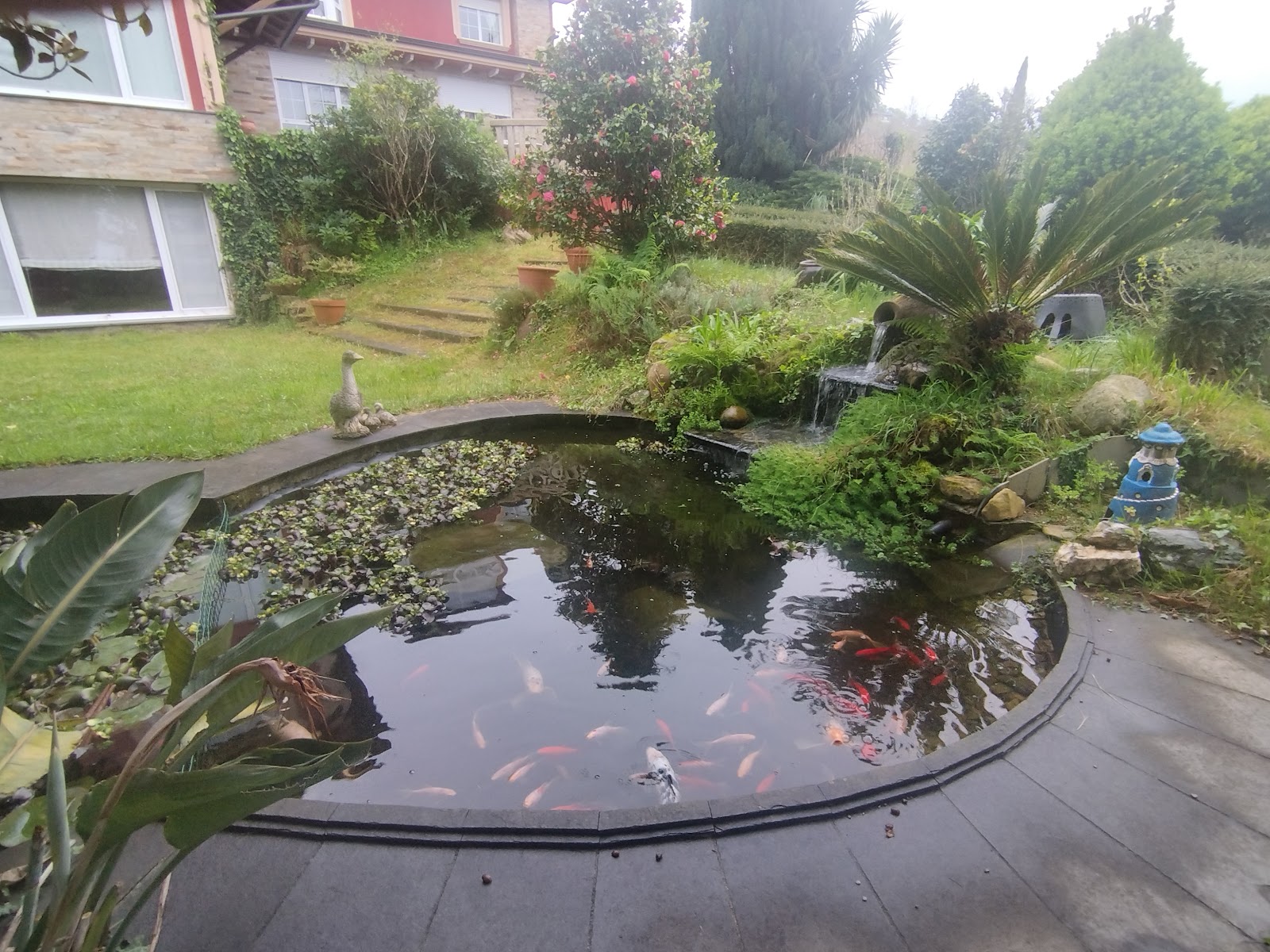 Casa Manoli photo 10