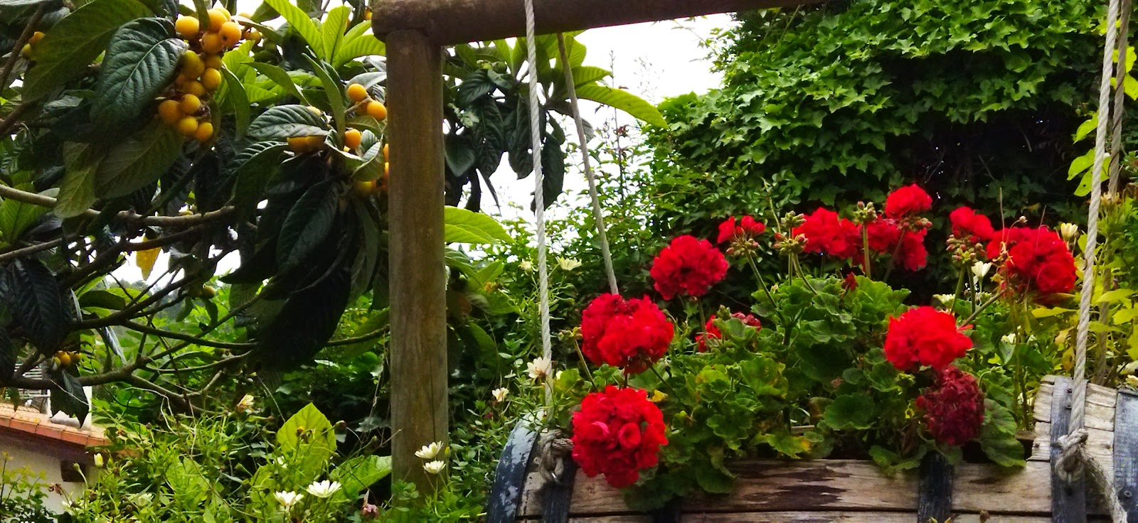 The cottage Corberu photo 3