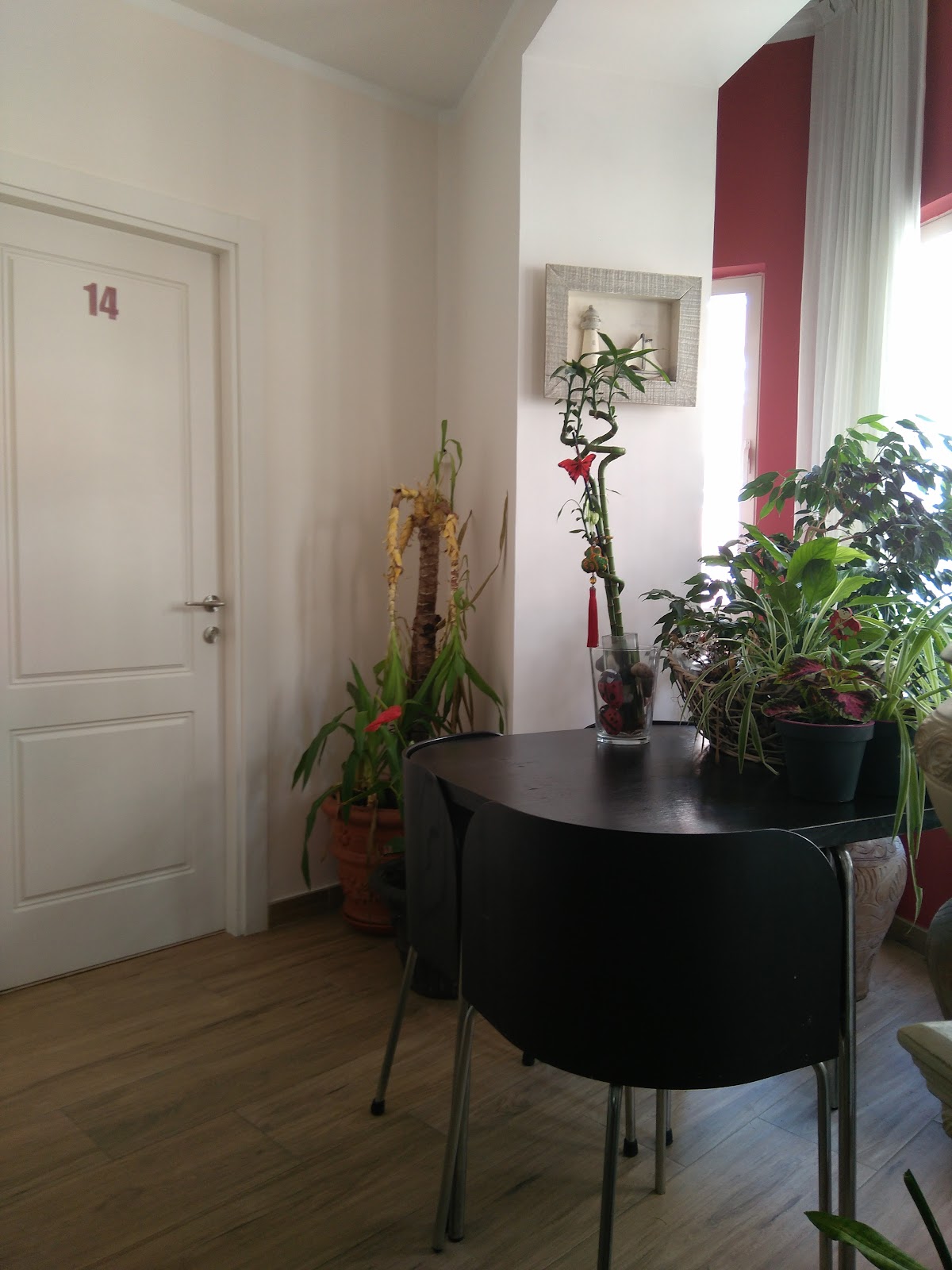 Pension Jade photo 9