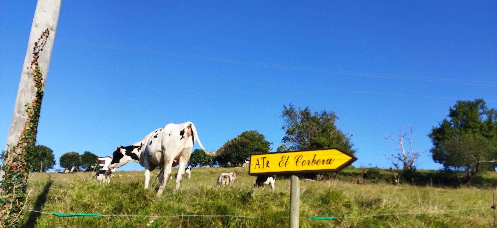 The cottage Corberu photo 4