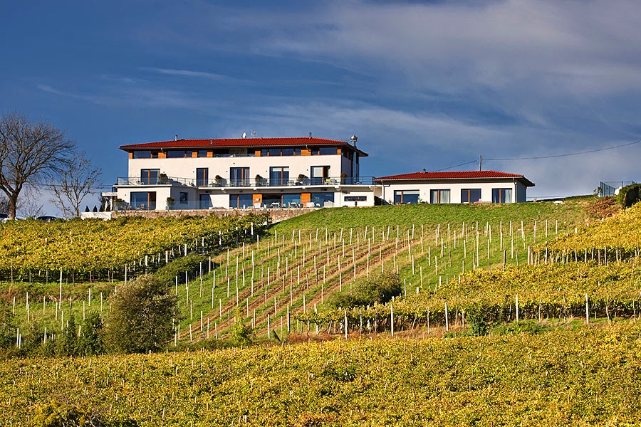 Hotel San Prudentzio, Getaria photo 10