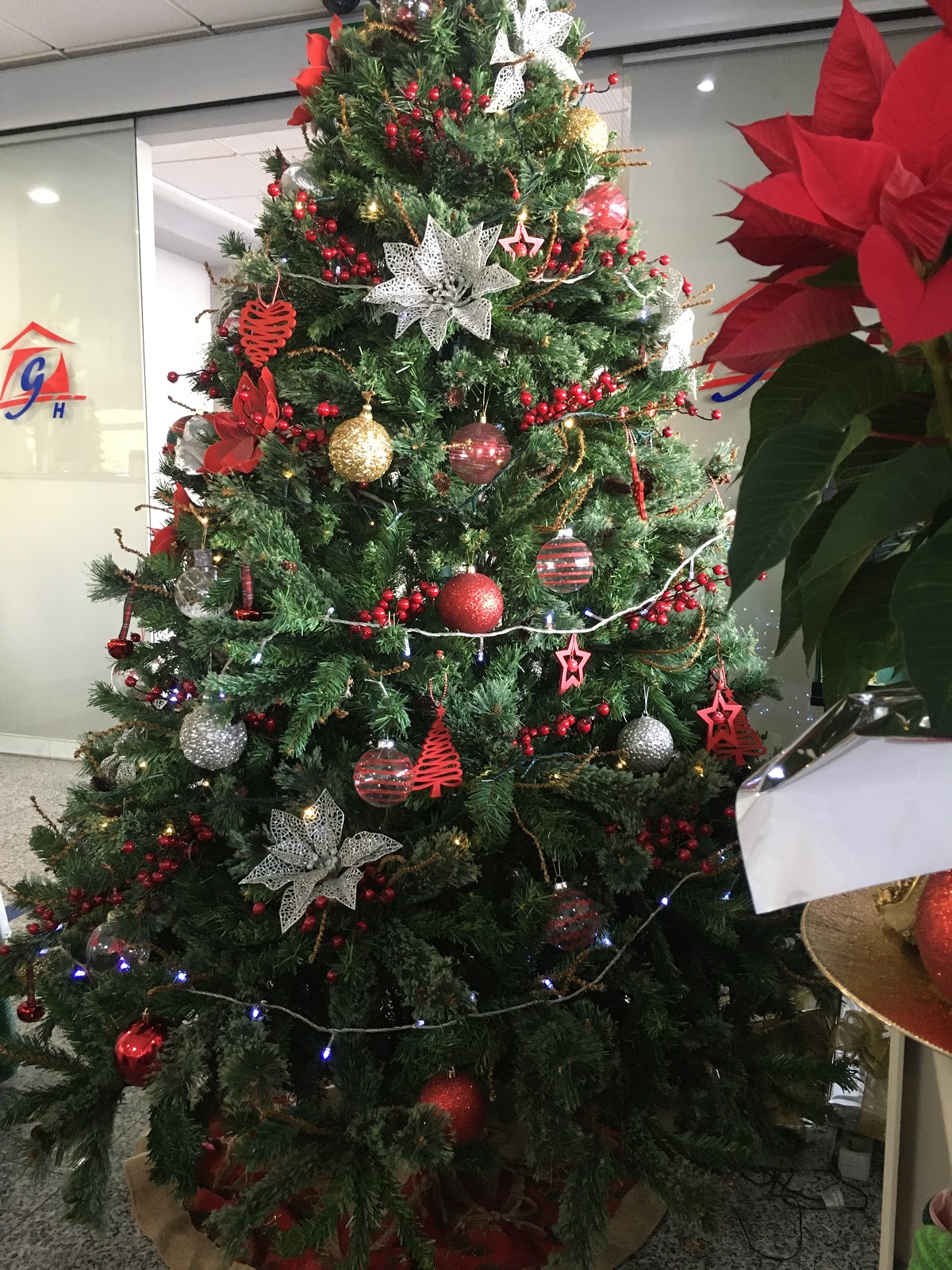 Hotel Garcas photo 9