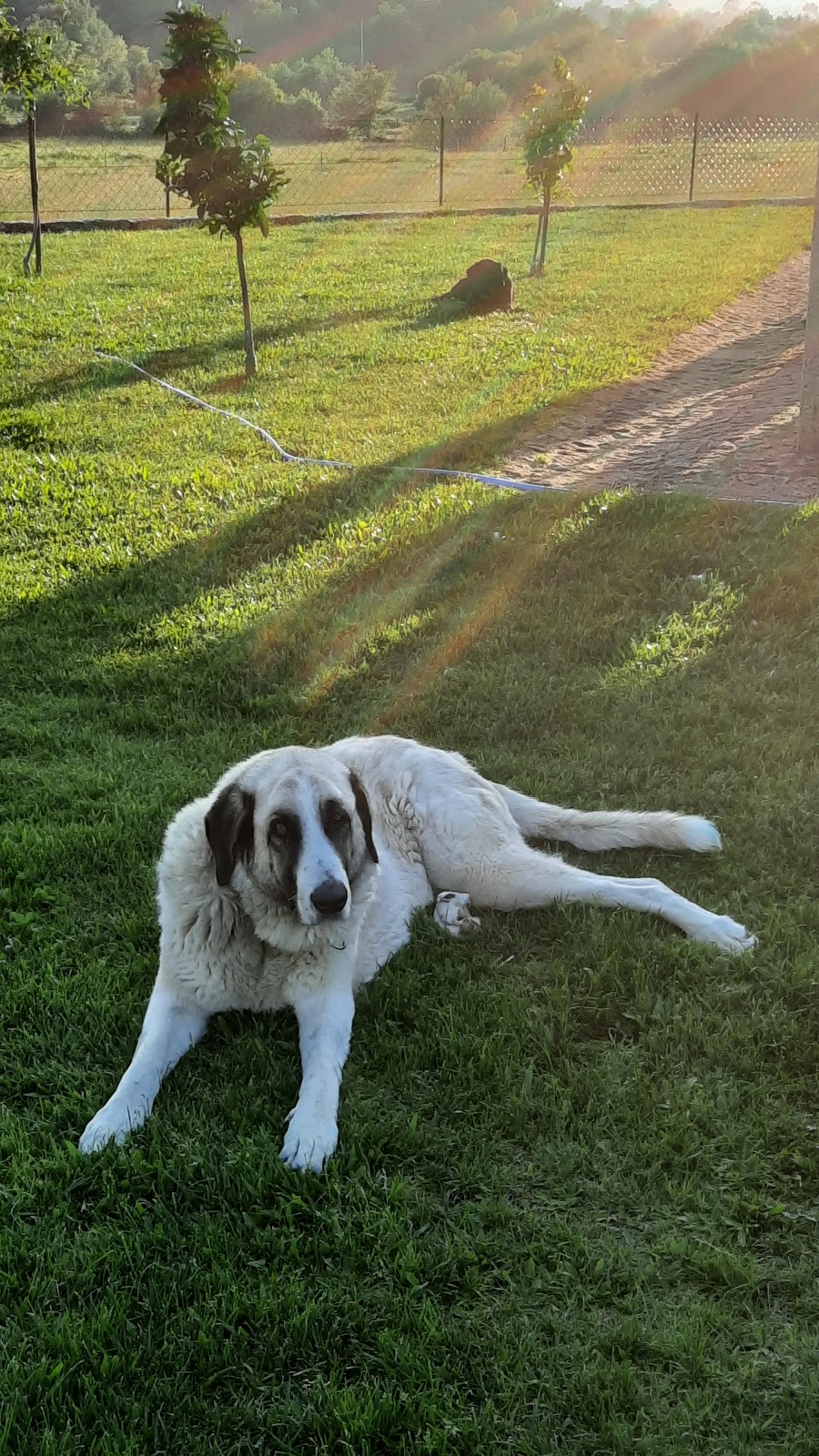 NorQuali - Consultoria e Segurança Alimentar, Lda.