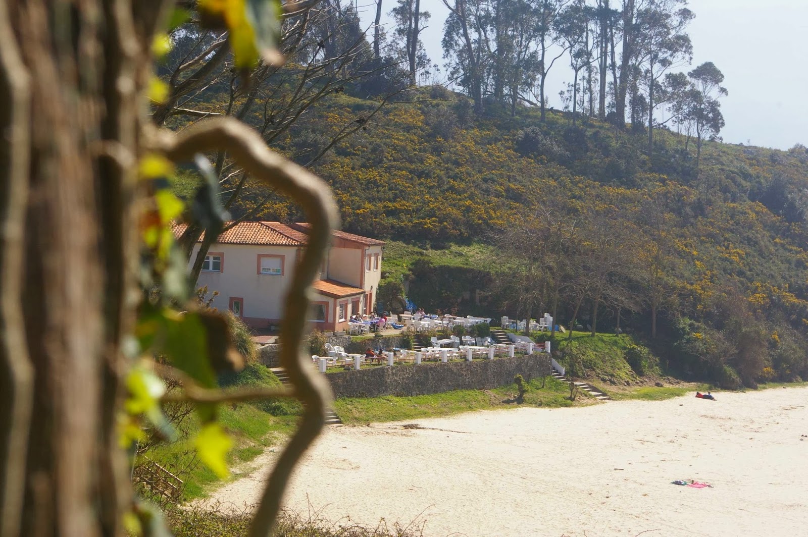 Hotel-Restaurante Rocamar photo 2