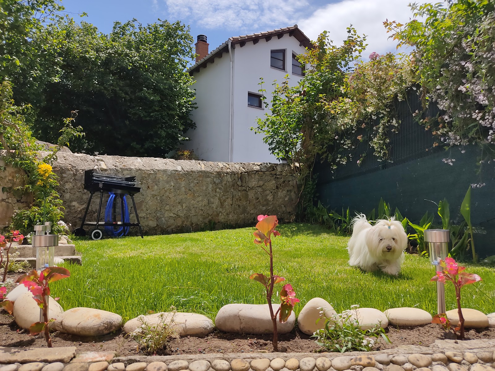 Casa Dolfín - Casa Rural photo 8