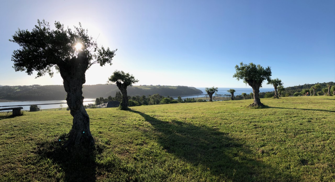 Apartamentos Montemar photo 6