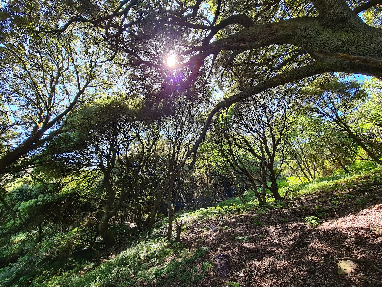 Albergue Turístico El Cantu photo 4
