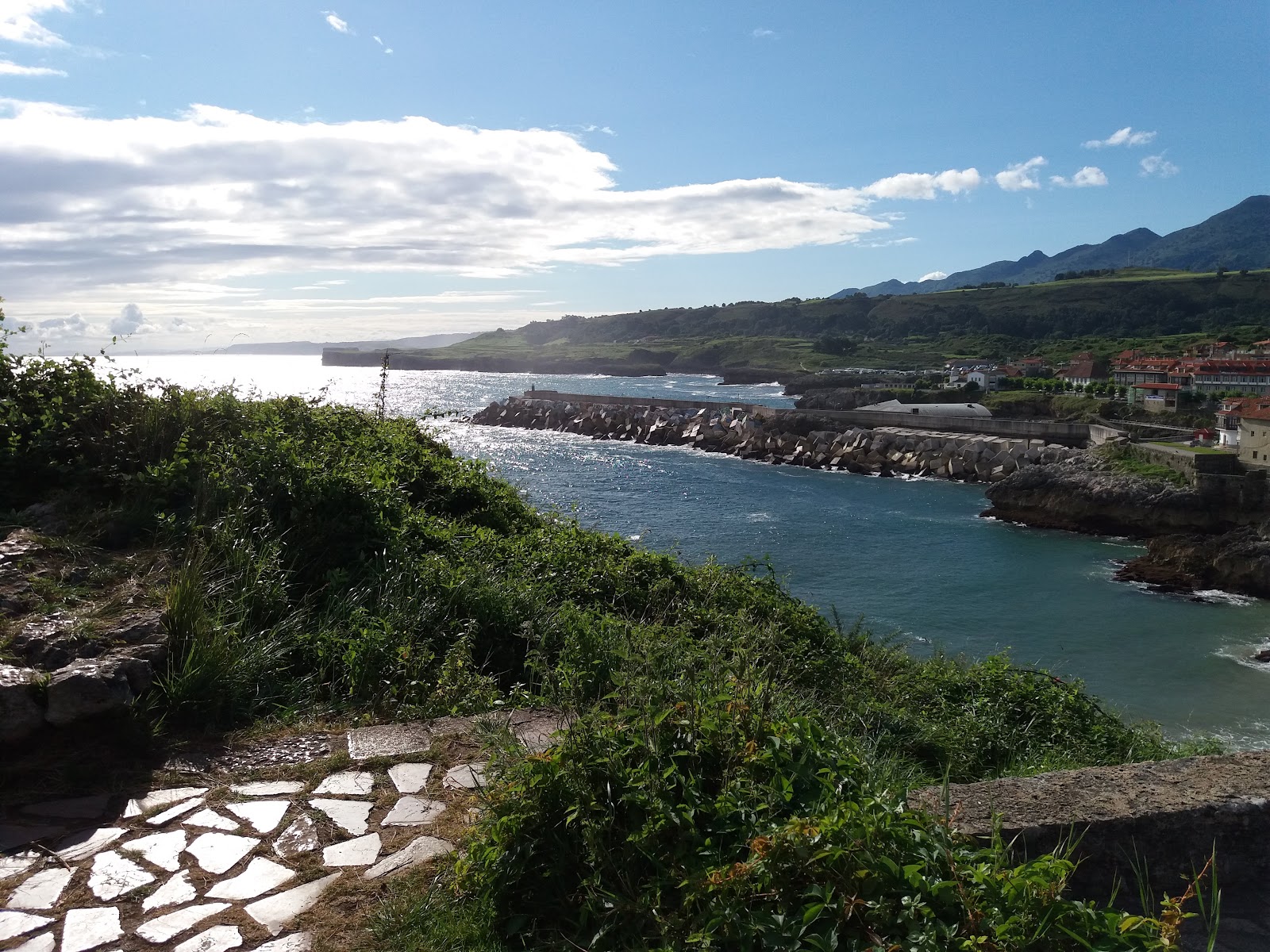 Pension los Pinos photo 2