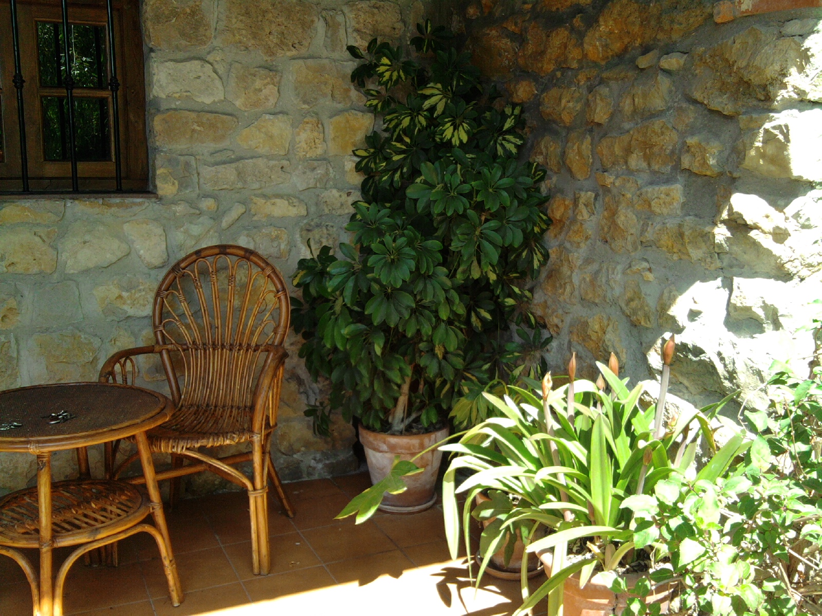 Apartamentos Fernando photo 10