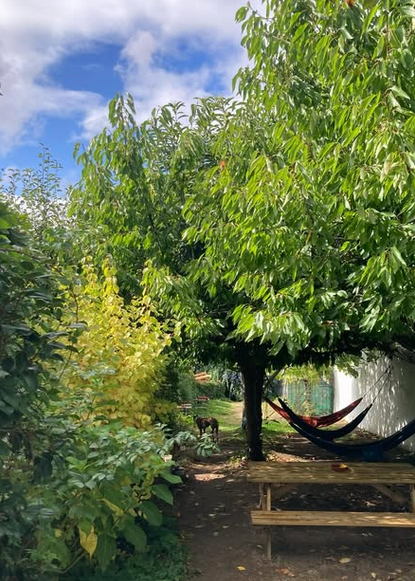 Meiga BackPackers photo 10