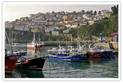 Hotel El Foyu photo 9