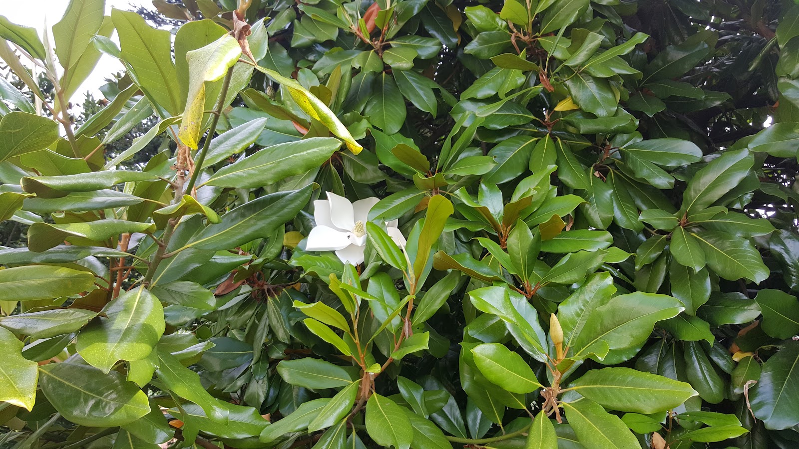 The Berdial COTTAGE IN ASTURIAS photo 9