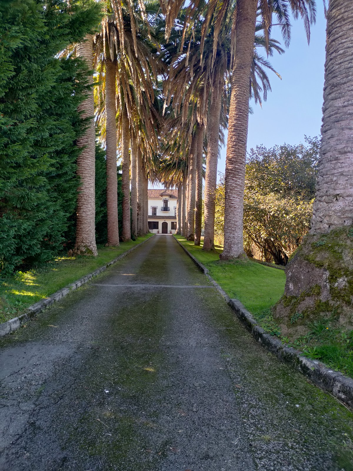 Vivienda Vacacional Las Palmeras photo 2