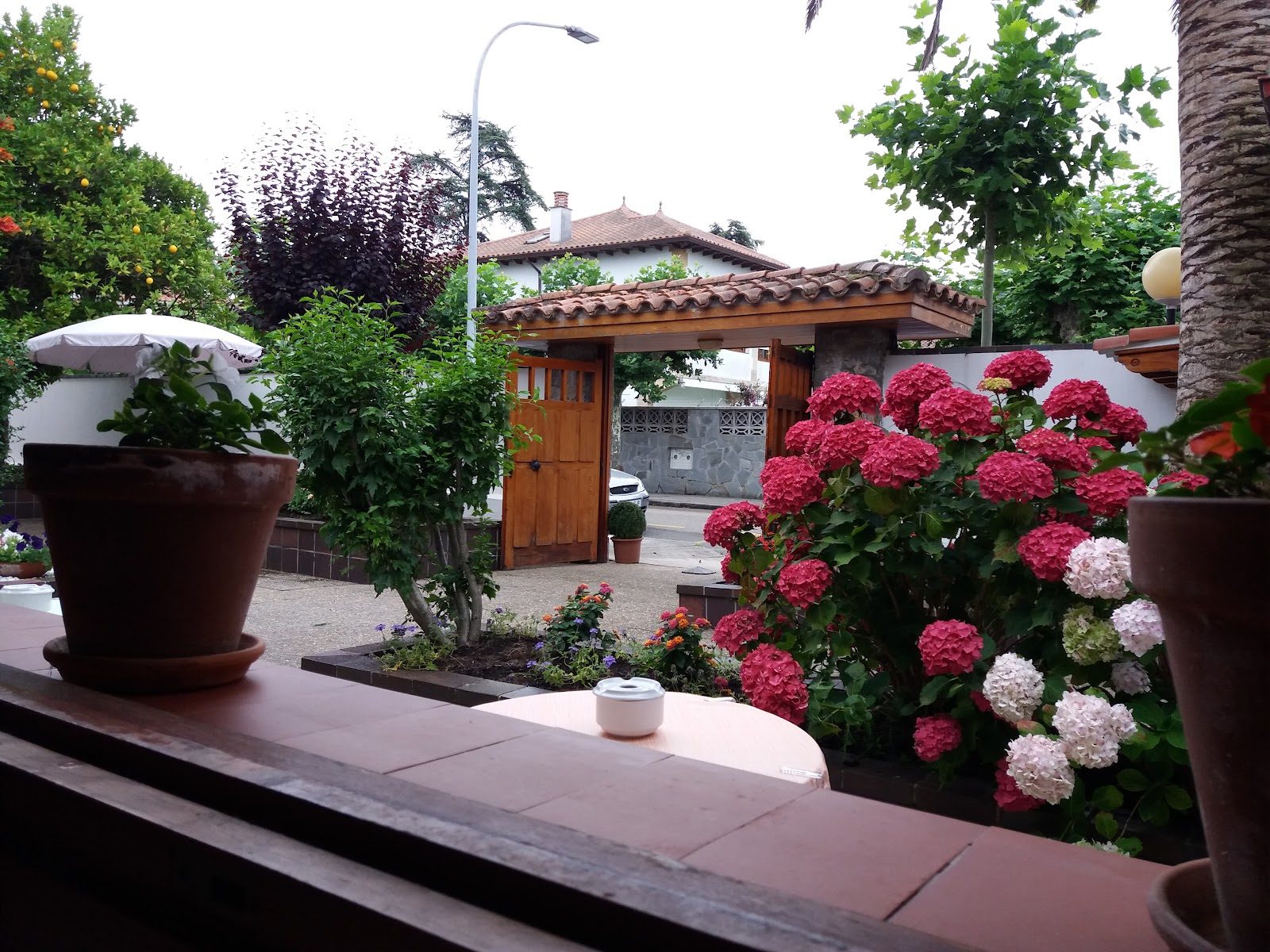 Hotel Montecristo photo 3