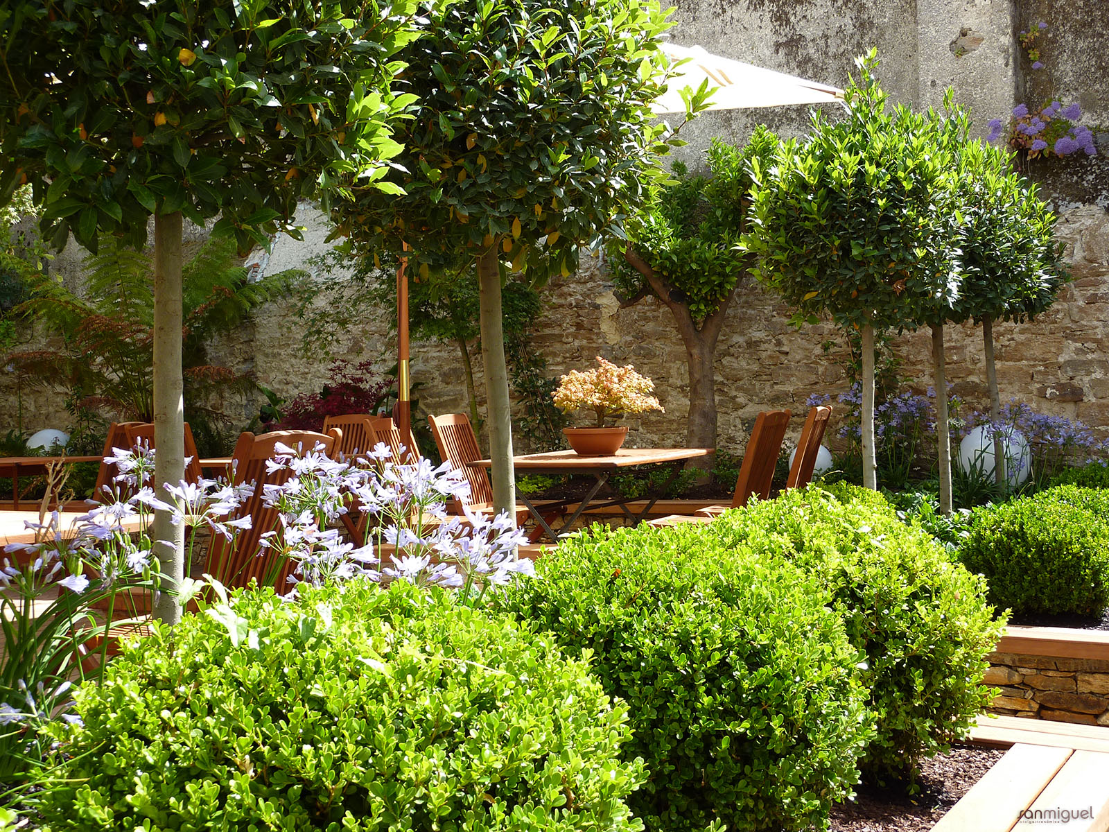 Hotel San Miguel photo 10