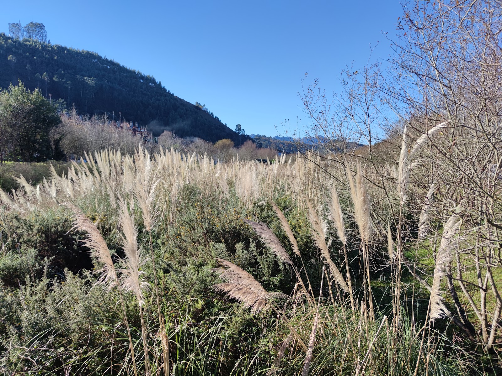 Casa del Cura photo 8