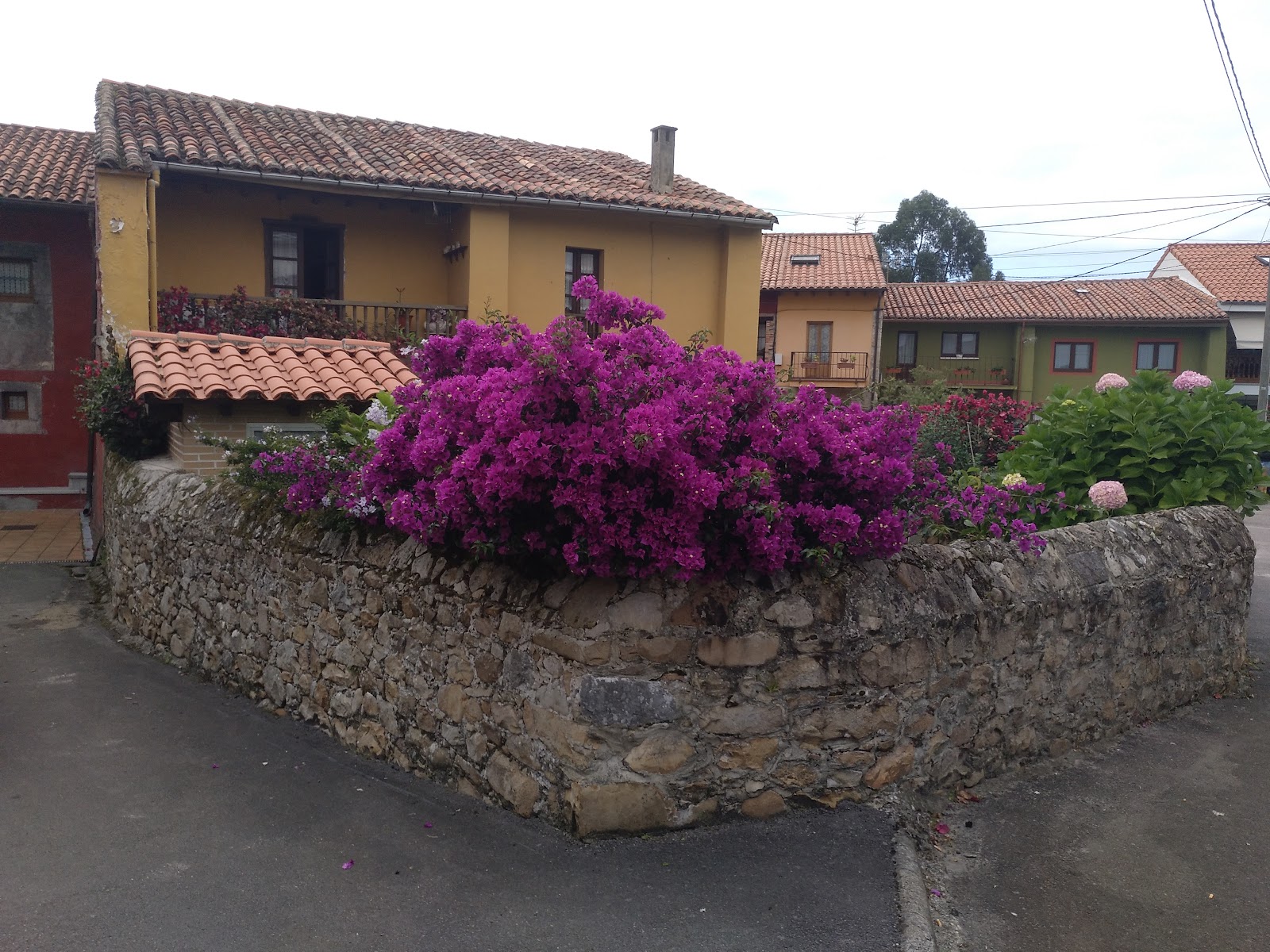 Hotel y Apartamentos Cuevas del Mar photo 8