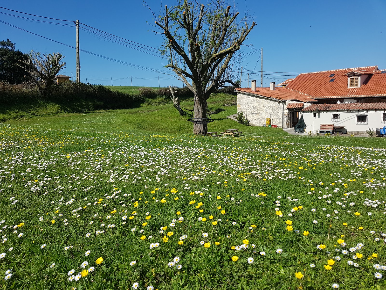 Posada Condado de la Mota photo 9
