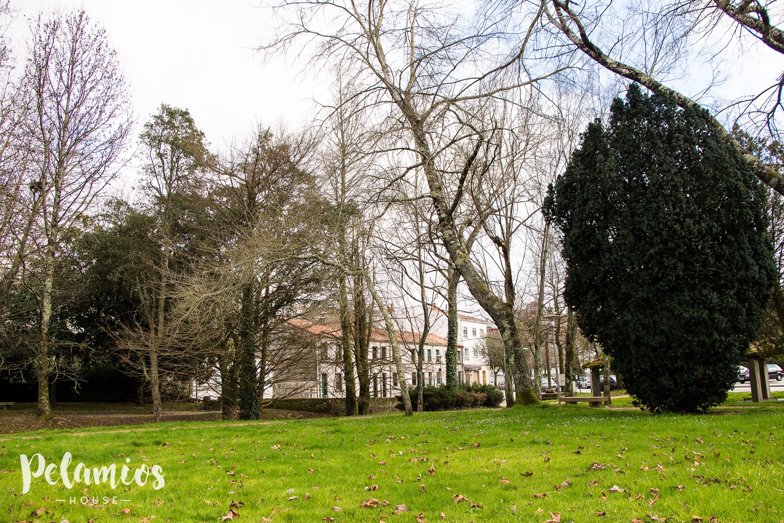 Pelamios House photo 4