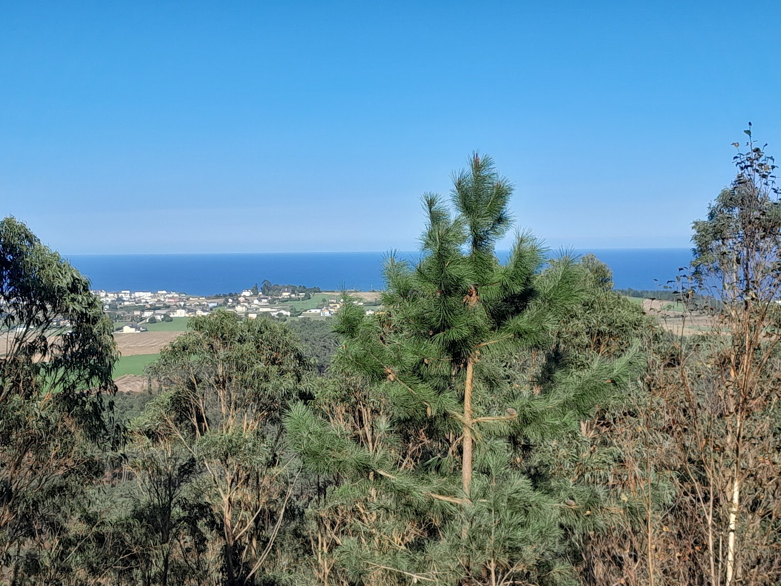 Albergue de peregrinos de La Caridad photo 10