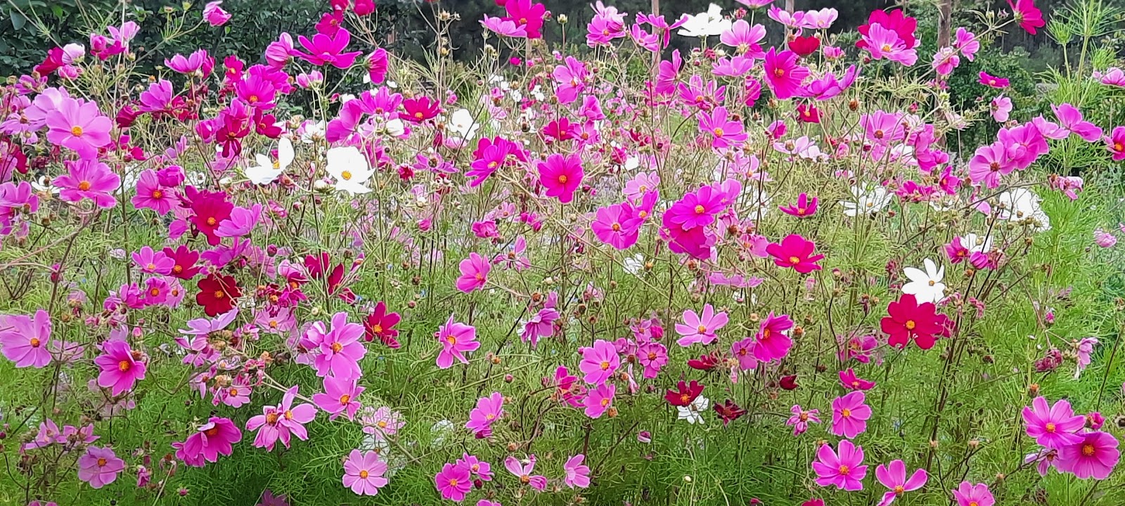 NorQuali - Consultoria e Segurança Alimentar, Lda. photo 2