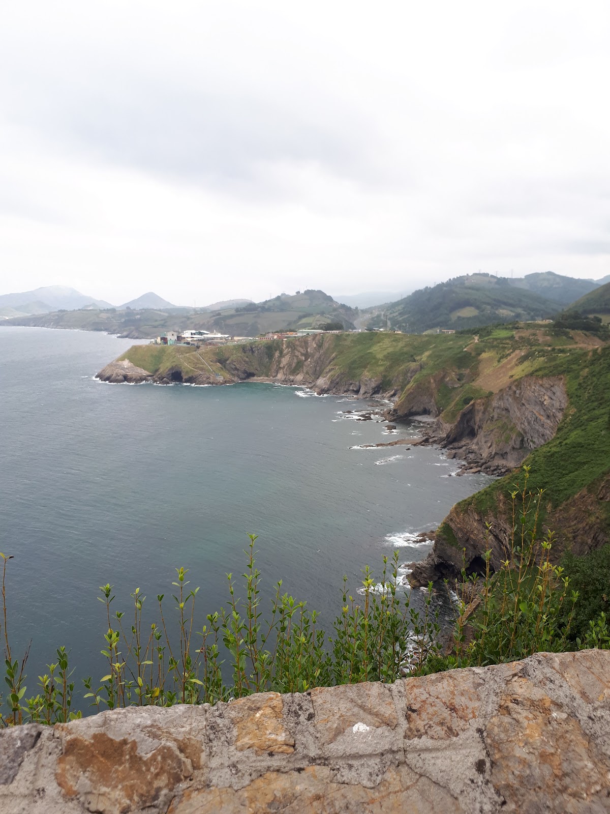 San Telmo pentsioa photo 9