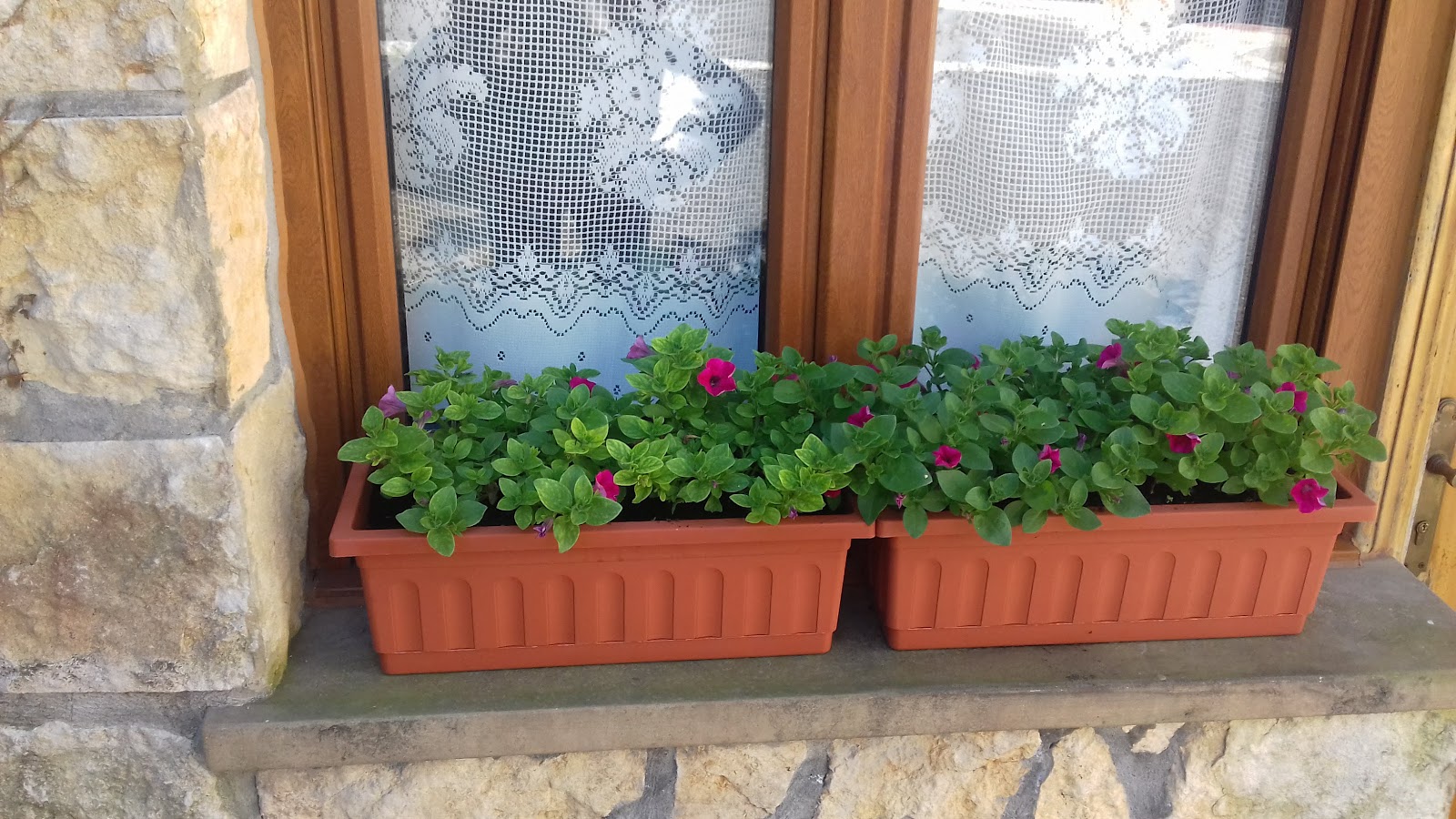 Apartamentuak Agerre Goikoa photo 9