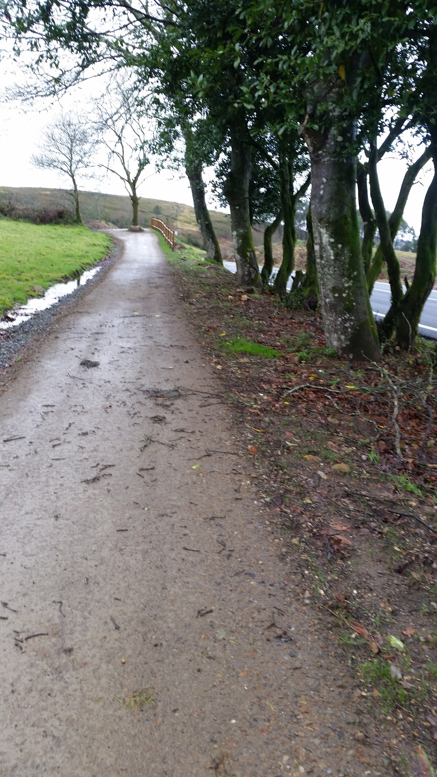 Casa Roxica Albergue y pensión photo 8